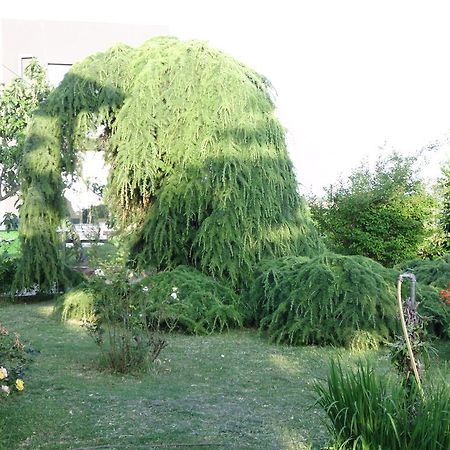 Apartments Ribic Umag Ruang foto