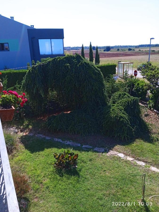 Apartments Ribic Umag Bagian luar foto