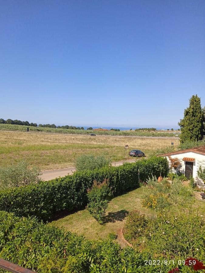 Apartments Ribic Umag Bagian luar foto