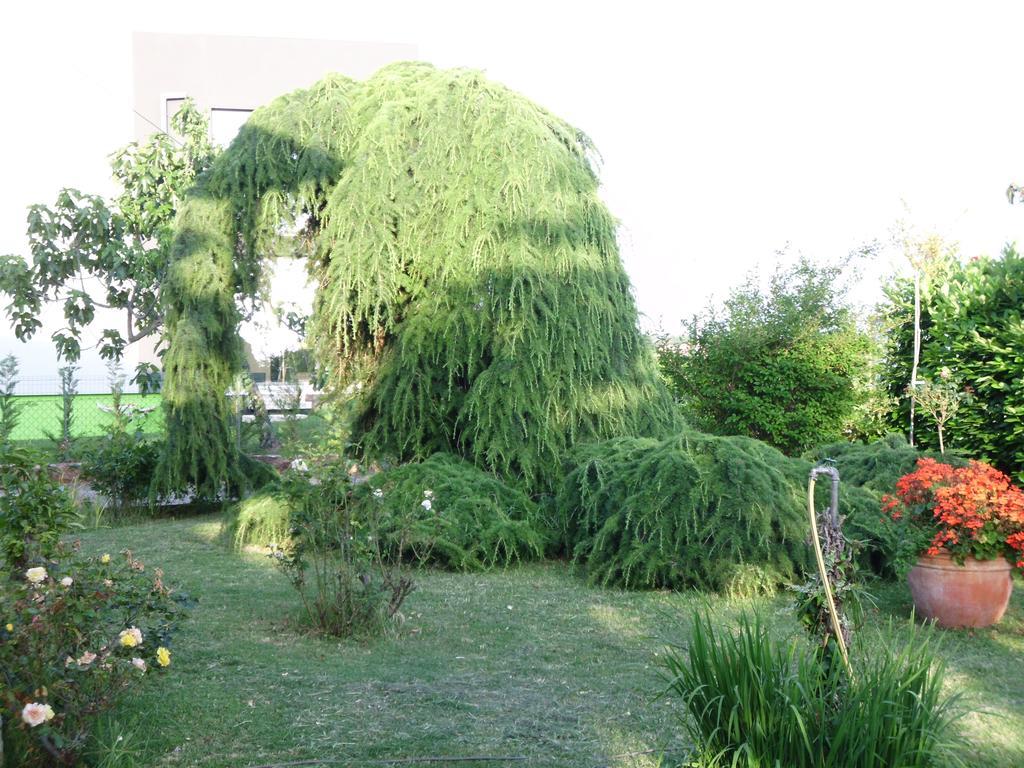 Apartments Ribic Umag Ruang foto
